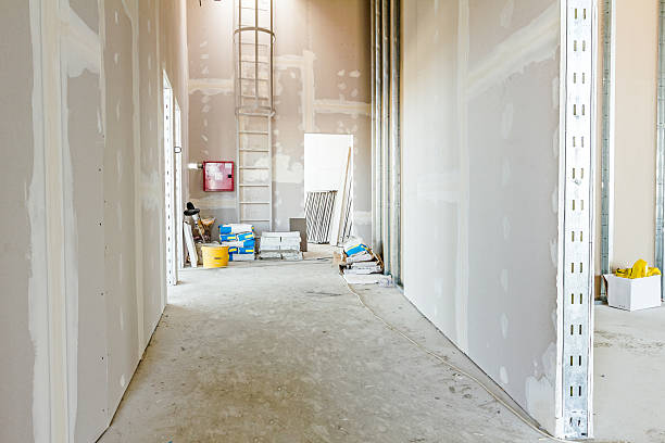 Best Drywall Repair  in Kingsley, IA